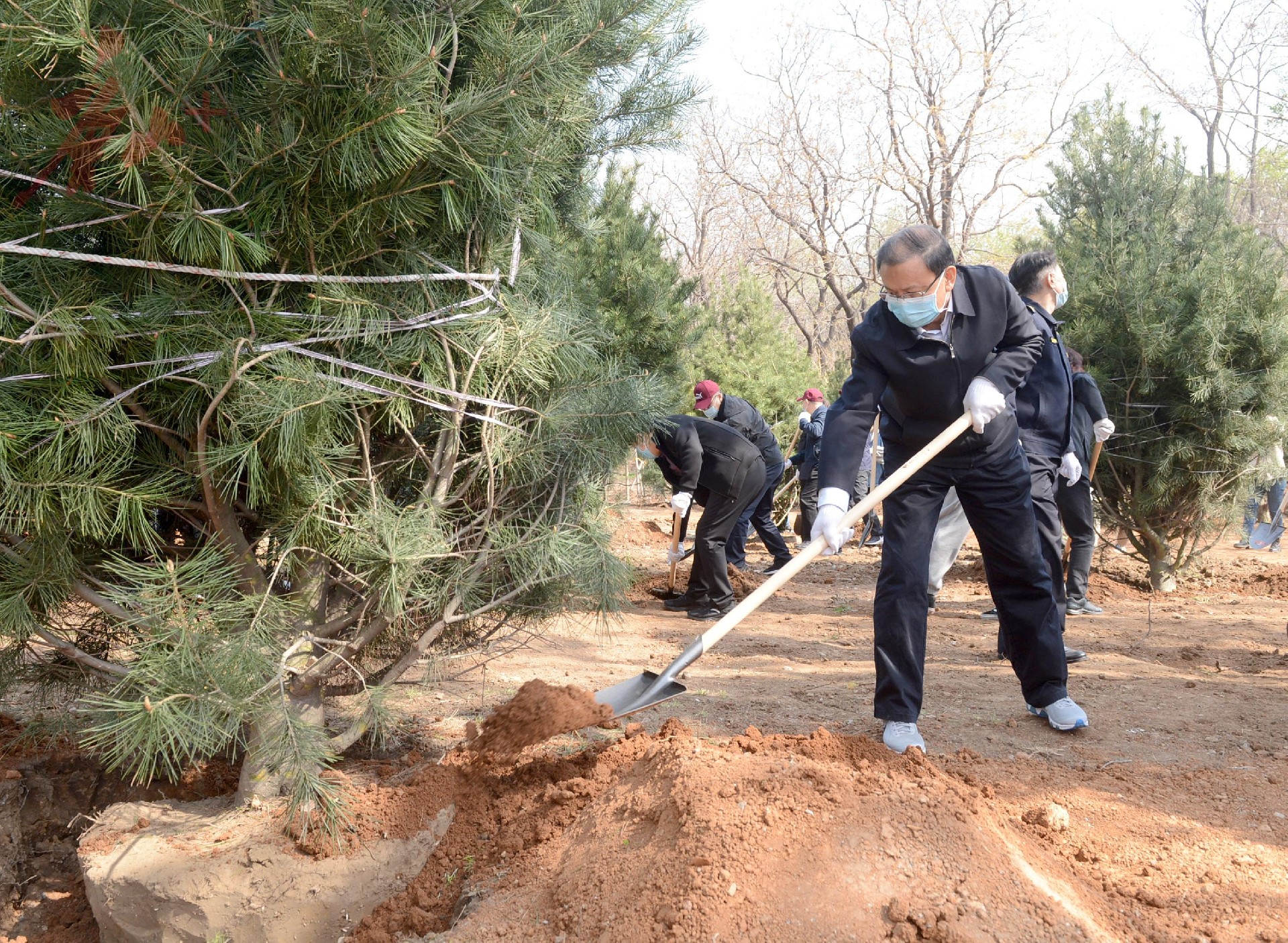 唐山市四大班子領導參加全民義務植樹活動.jpg